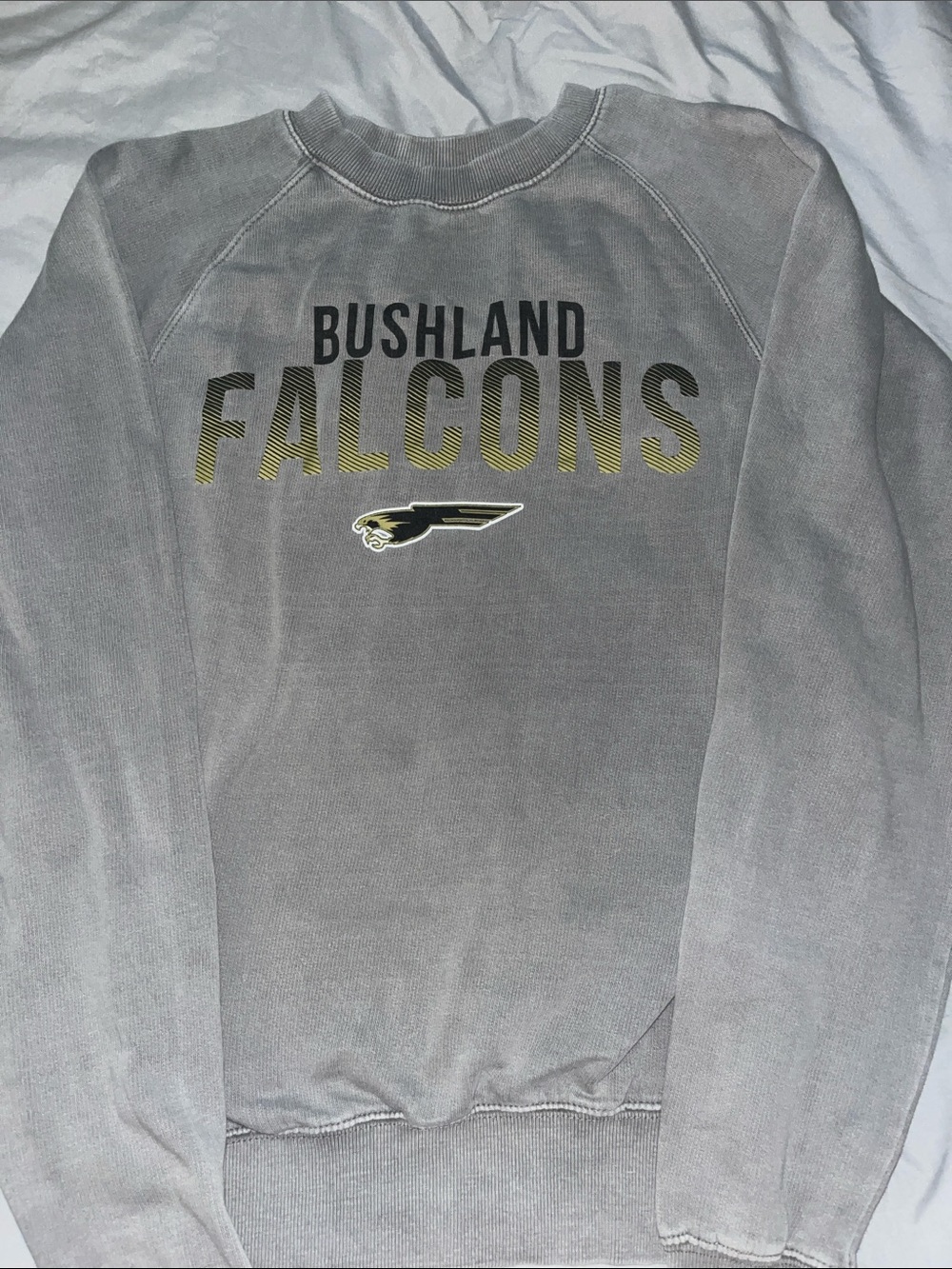 Bushland Falcons Gray Crewneck Sweatshirt